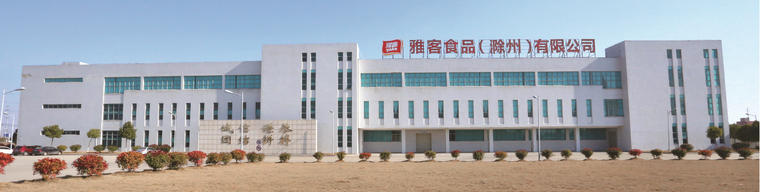 雅客集团滁州公司总部.png