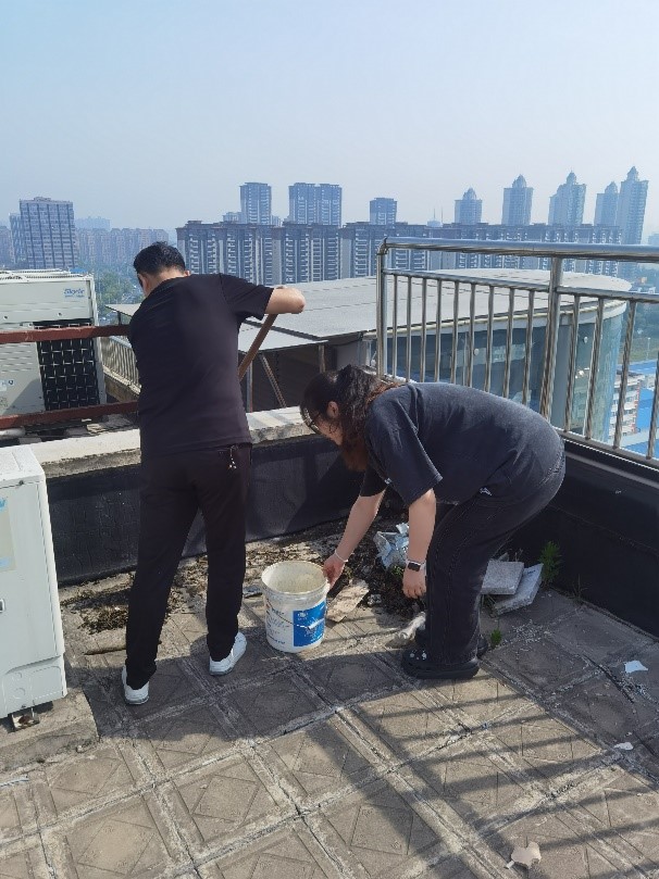 图片6.jpg